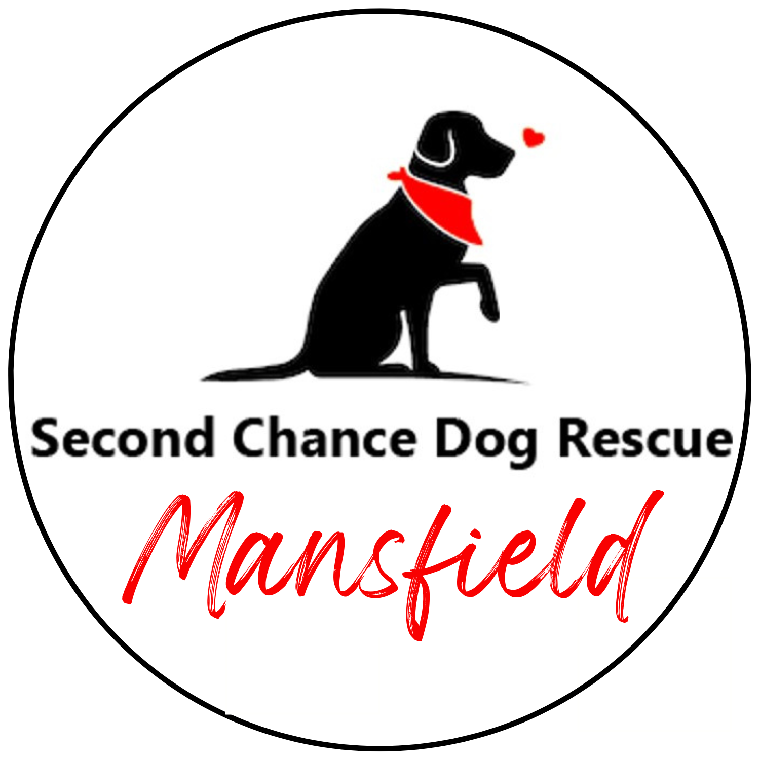 A second 2024 chance animal rescue